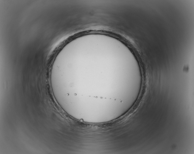 X0000116851263200912220934