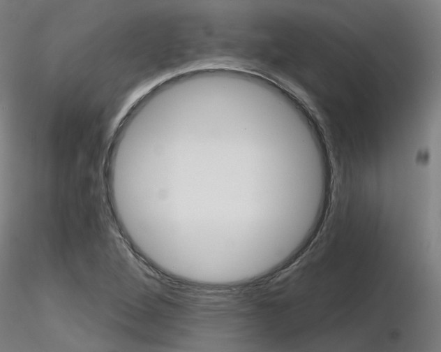 X0000116851264200912220934