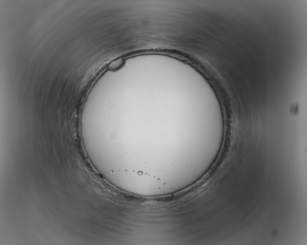 X0000116851265200912220934