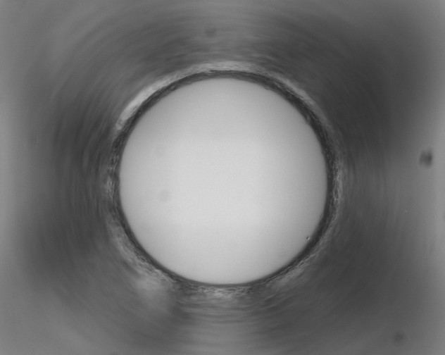 X0000116851266200912220934