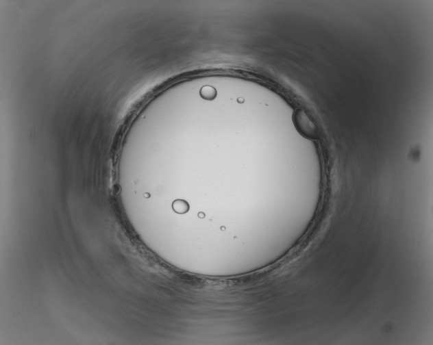 X0000116851267200912220934