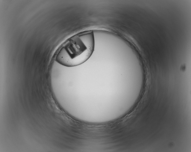 X0000116851268200912220934