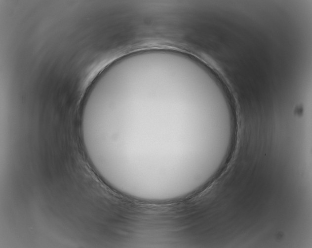 X0000116851269200912220934