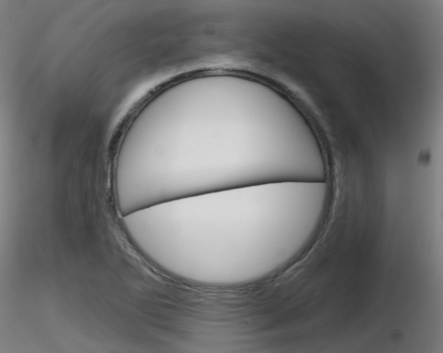 X0000116851270200912220934