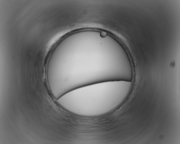 X0000116851271200912220934