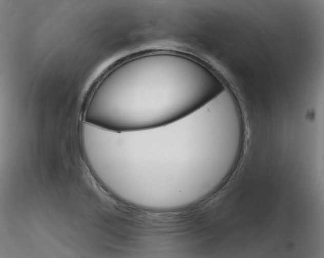 X0000116851272200912220934