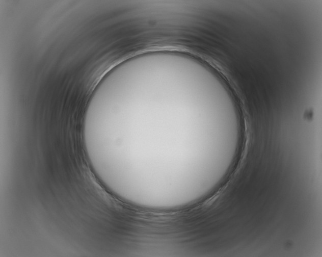 X0000116851273200912220934