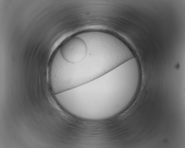 X0000116851274200912220934