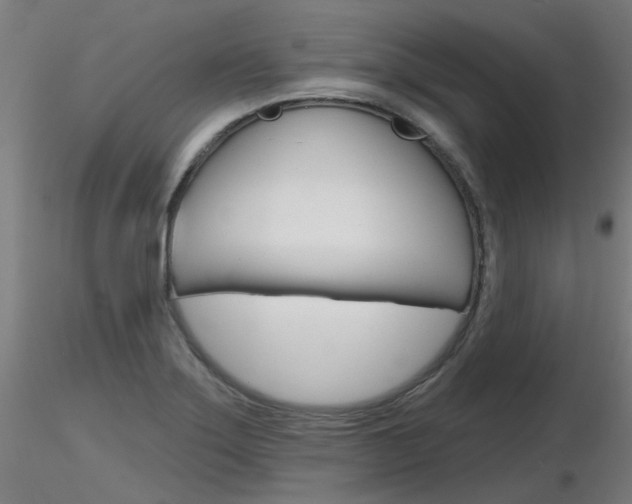 X0000116851275200912220934