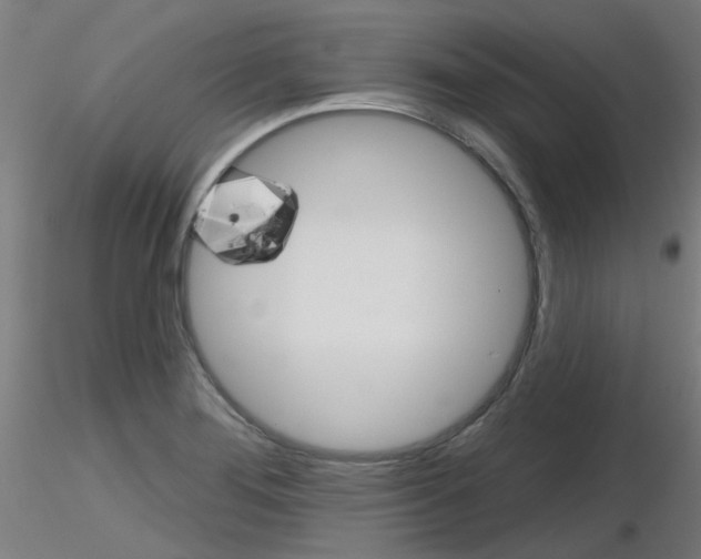 X0000116851276200912220934