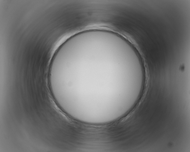 X0000116851277200912220934