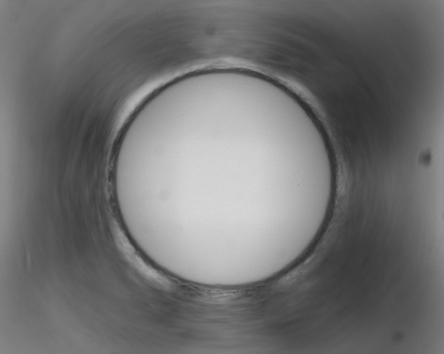 X0000116851278200912220934