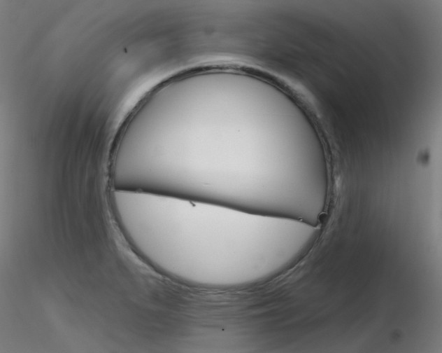 X0000116851279200912220934