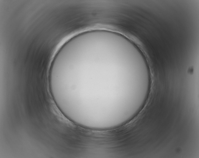X0000116851280200912220934