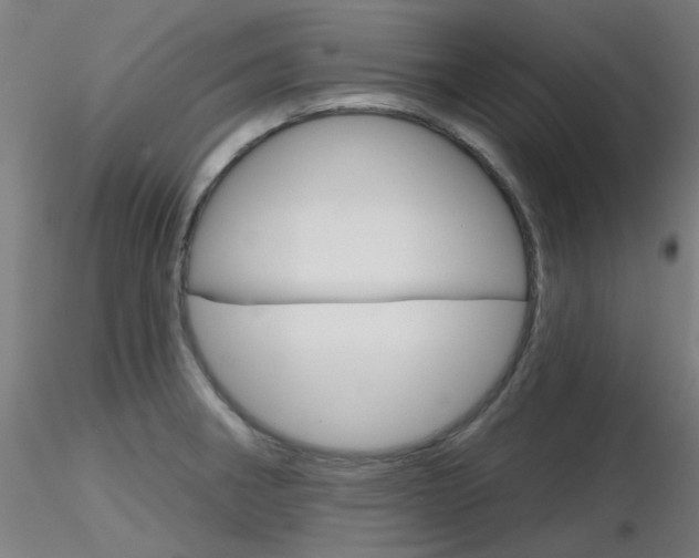 X0000116851282200912220934