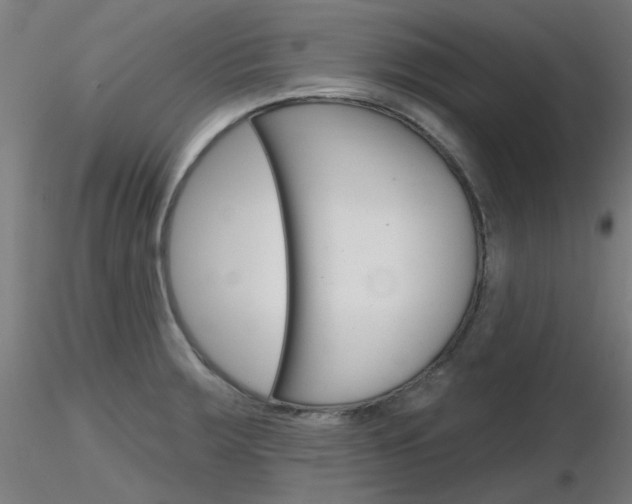 X0000116851283200912220934