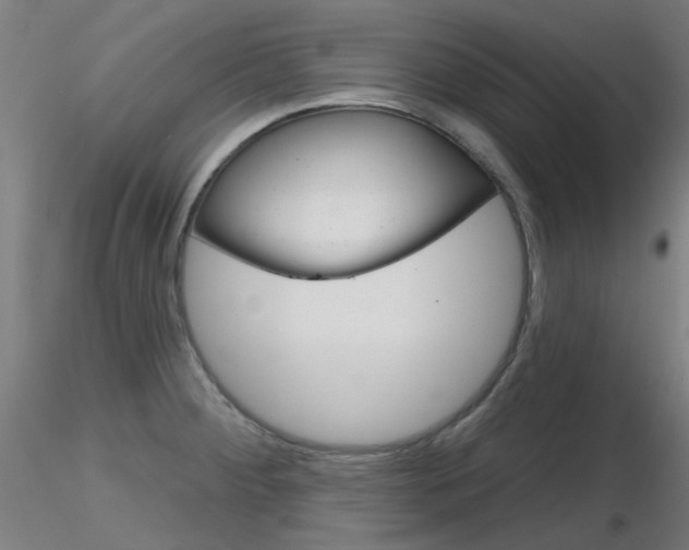 X0000116851284200912220934