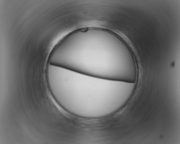 X0000116851285200912220934