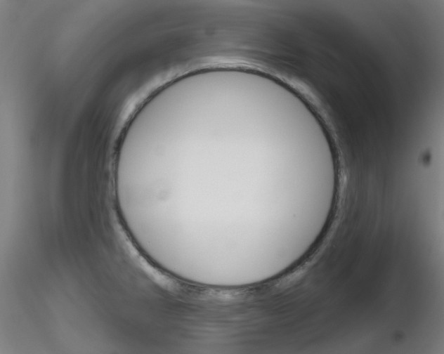 X0000116851286200912220934