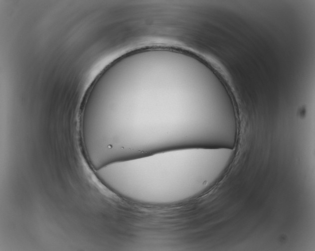 X0000116851287200912220934