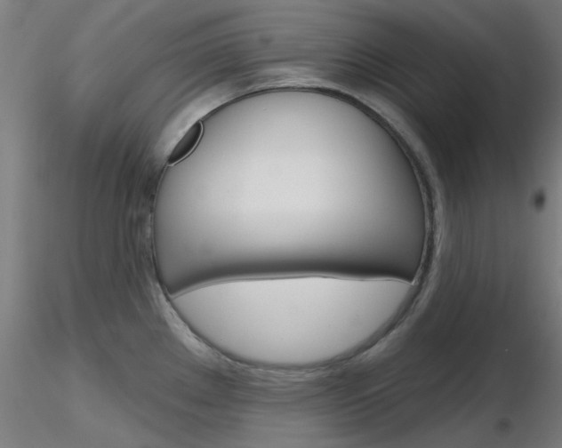 X0000116851289200912220934