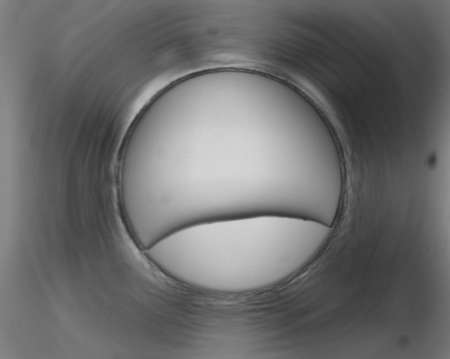X0000116851291200912220934