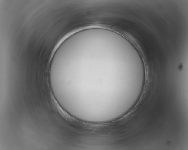 X0000116851292200912220934