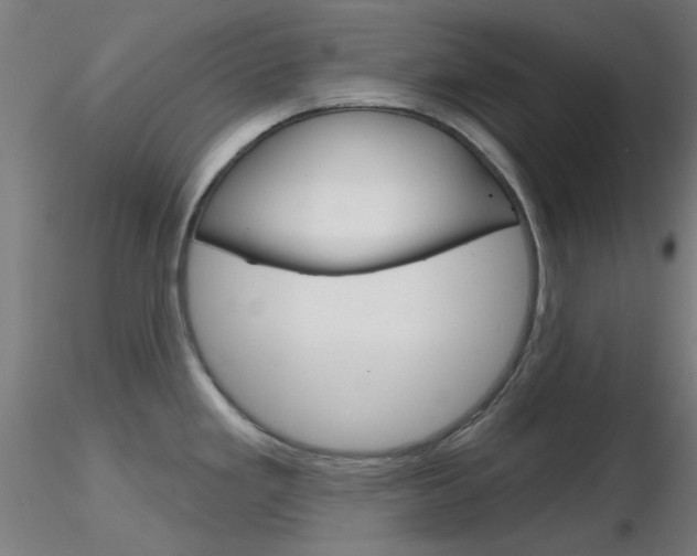 X0000116851293200912220934