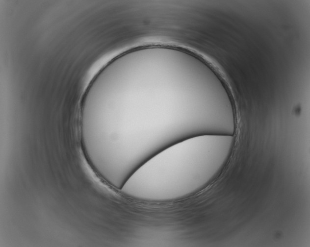 X0000116851295200912220934