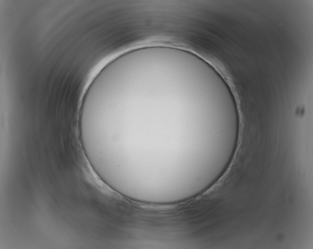 X0000116851296200912220934