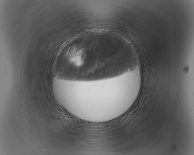 X0000116851297200912220933