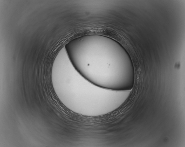 X0000116851298200912220933