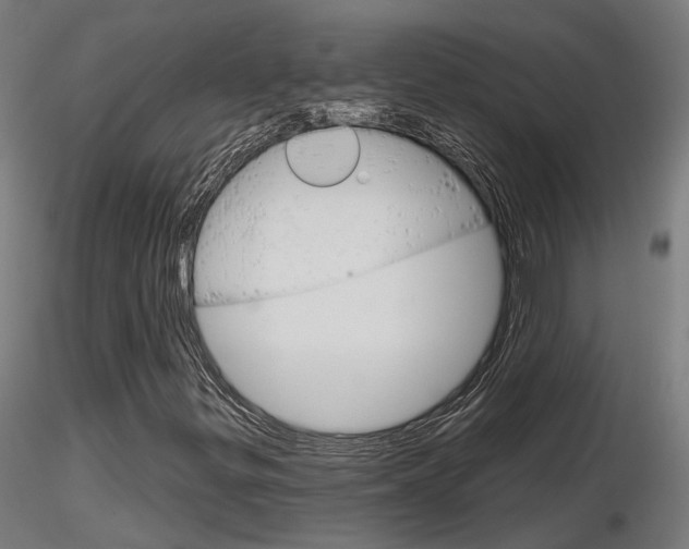 X0000116851299200912220933