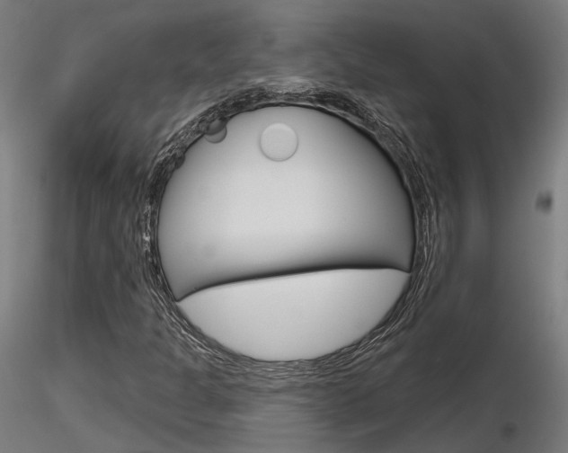 X0000116851301200912220933