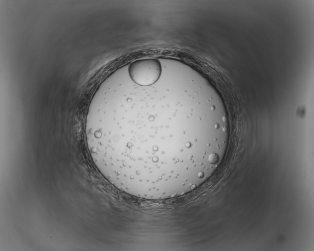 X0000116851302200912220933