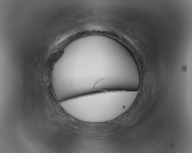 X0000116851303200912220933