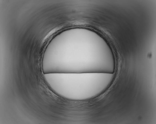 X0000116851306200912220933
