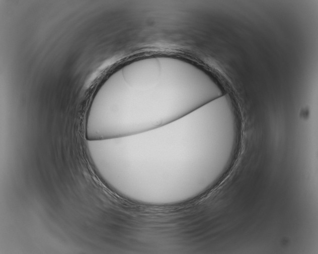 X0000116851307200912220933