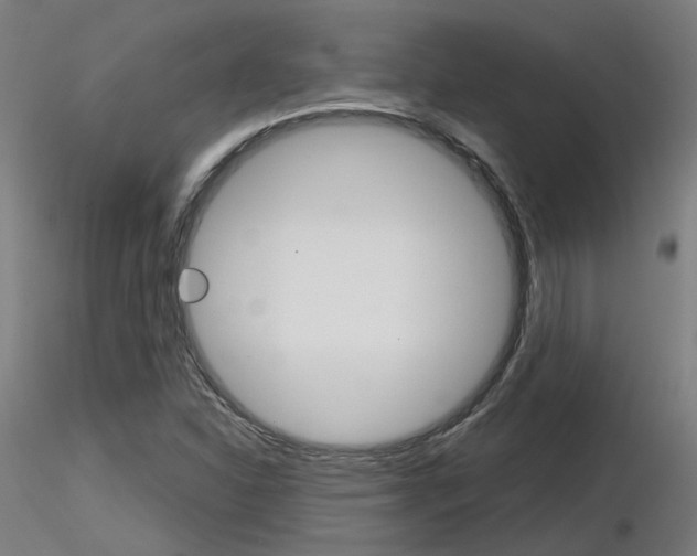 X0000116851310200912220933
