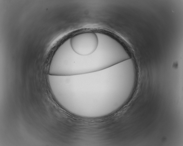 X0000116851311200912220933