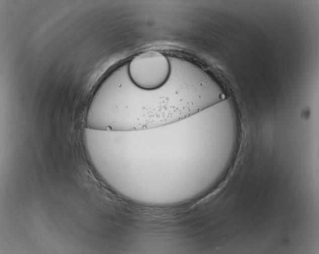 X0000116851313200912220933
