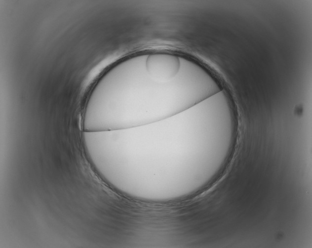 X0000116851317200912220933