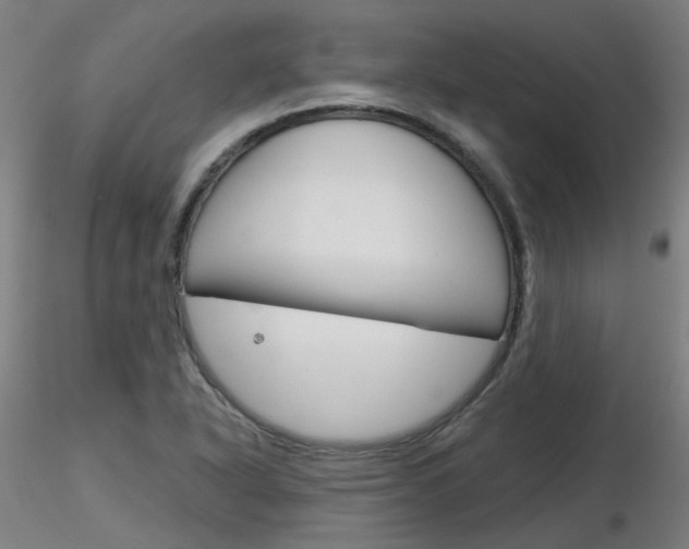 X0000116851318200912220933