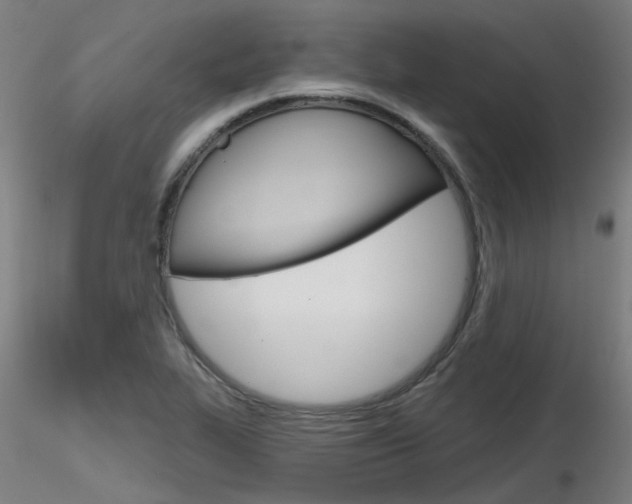 X0000116851319200912220933