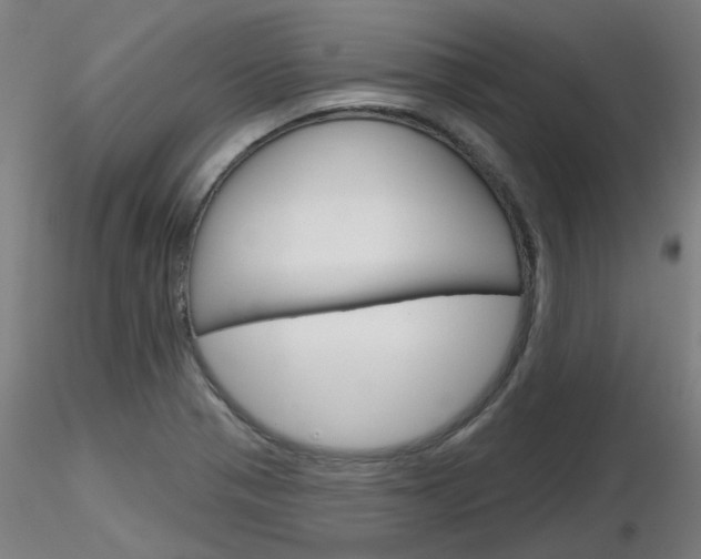 X0000116851321200912220933