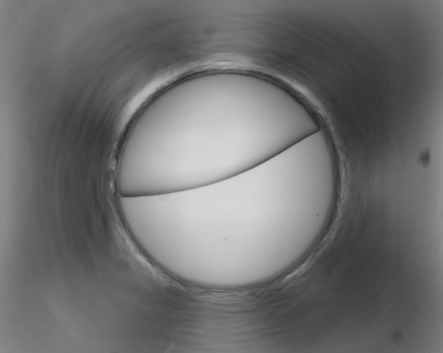 X0000116851325200912220933