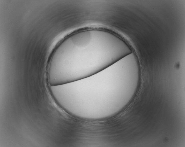 X0000116851327200912220933