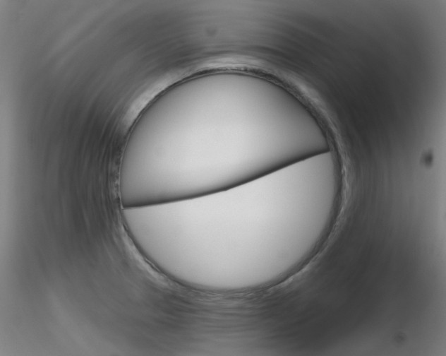 X0000116851329200912220934