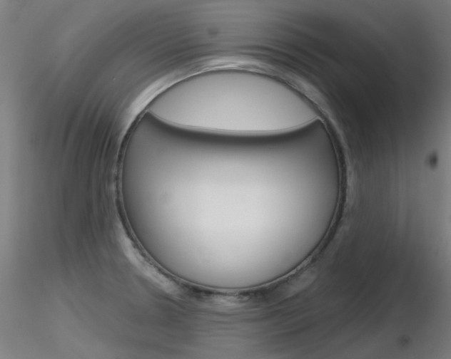 X0000116851330200912220934