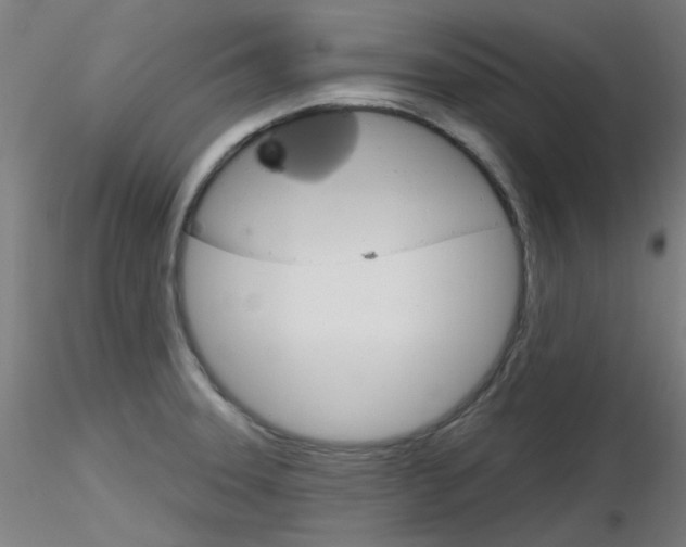 X0000116851331200912220934